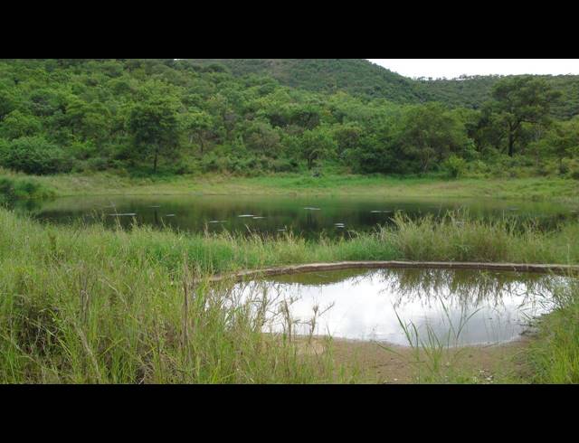 1,191HA FARM FOR SALE IN NELSPRUIT RURAL